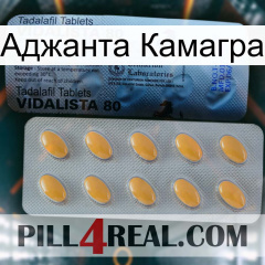 Аджанта Камагра 44